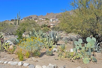 .8 Acre Pristine Desert