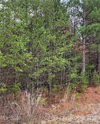 Follow paths made by whitetail deer on Early Place