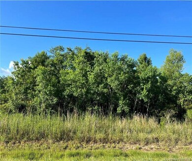 0 Carolyn Dr unit SWL23003791, Lake Charles, LA 70611 - photo 3