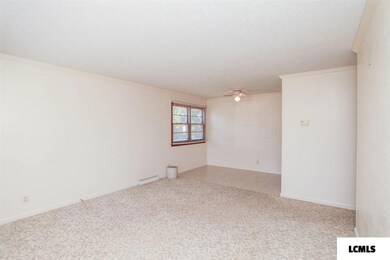 1621 N Ottawa St, Lincoln, IL 62656 - photo 4