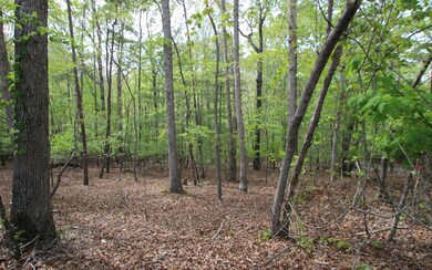 Additional View