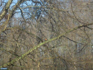 773 Quail Place, Woodbury, NJ 08096 - photo 2