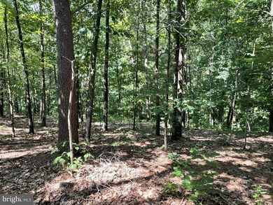 0 Mill Hill Rd, Warfordsburg, PA 17267 - photo 2