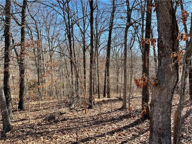 0 Campbell Ln, Bella Vista, AR 72715 - photo 2