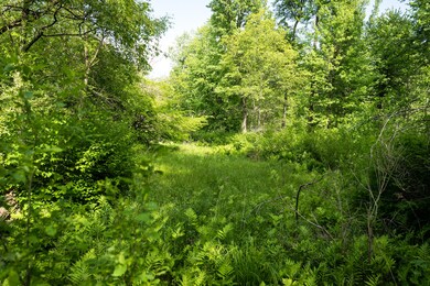 Taylor Rd. 5