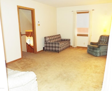 Hardwoods under the carpet!