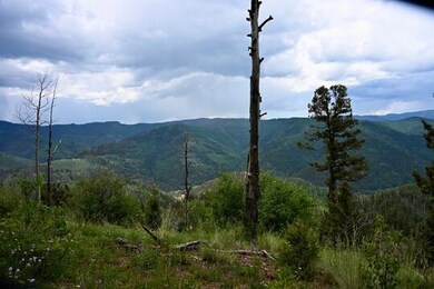 0 Highway 145 unit 42780, Dolores, CO 81323 - photo 2