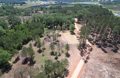 Lot 2 Hwy 16 None, Franklinton, LA 70438 - photo 4