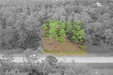 2210 Truman Ave, Alva, FL 33920 - photo 3