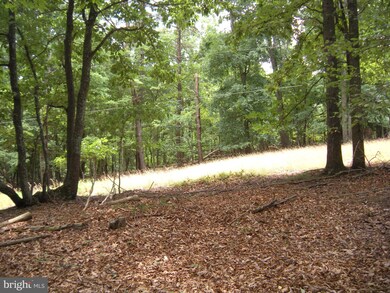 46 ACRES Nettle Ln, Gainesboro, VA 22603 - photo 4