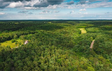 DJI_0350