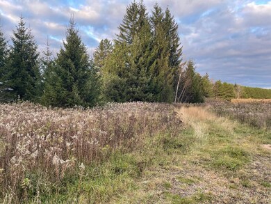 ON Chillie Rd, Antigo, WI 54424 - photo 3