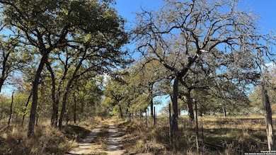 19764 S State Highway 123, Seguin, TX 78155 - photo 2