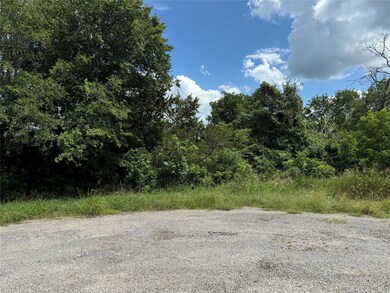 38075 Brookside Ct E, Whitney, TX 76692 - photo 5