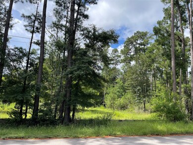 26475 Joseph Rd, Hockley, TX 77447 - photo 2