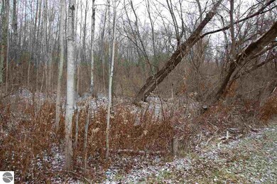 0 ~ #14 Griffin Rd, West Branch, MI 48661 - photo 4