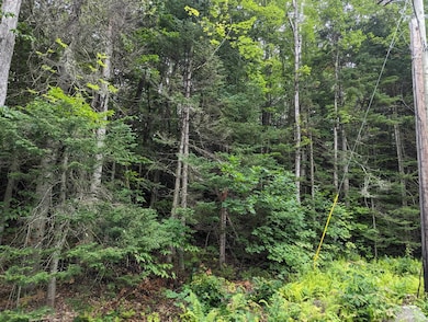 5-7-8 Donovan Farm Rd, Campton, NH 03223 - photo 4