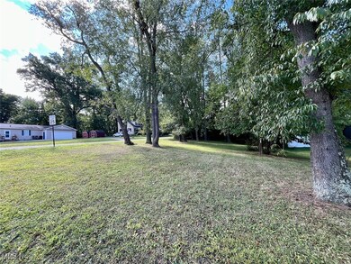 View of grassy yard with view of scattered trees