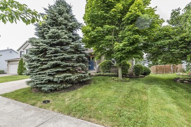 39 Fieldcrest Dr 06