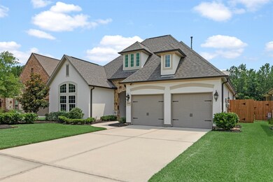 25018 Coperti Ln, Spring, TX 77386 - photo 2