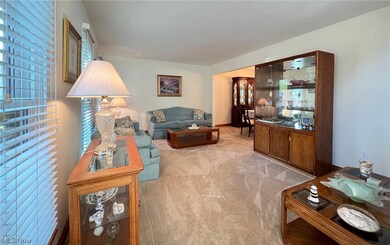 Living room with neutral carpet