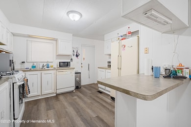 3617 County Road 406, Lake Panasoffkee, FL 33538 - photo 7