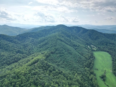 0 Lavender Ln, Amherst, VA 24521 - photo 4