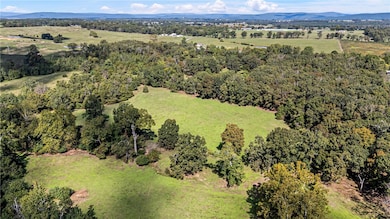 TRACT 1- 13610 Arkansas 105, Hector, AR 72843 - photo 6