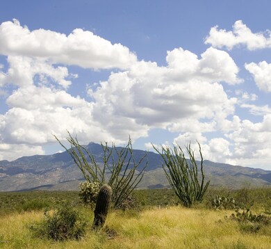 Borders State Land on two sides