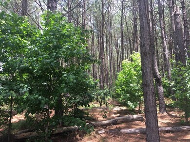 14523 Beckenridge Dr, Upatoi, GA 31829 - photo 7