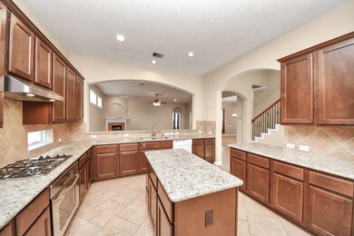 25006 Florina Ranch Dr, Katy, TX 77494 - photo 7