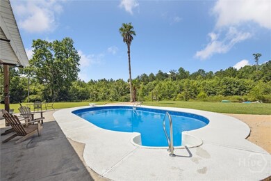 7217 Hwy 17 N Hwy, Newington, GA 30446 - photo 5