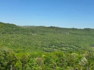 Tract I Ar 7 S, Jasper, AR 72641 - photo 2