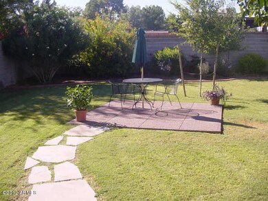 Landscaped Yard