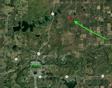 V/L S Spruce, Newaygo, MI 49337 - photo 3