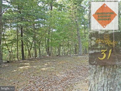 LOT 31A Pioneer Trail, Great Cacapon, WV 25422 - photo 3