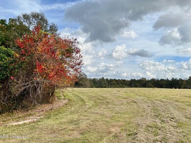 IMG_0071