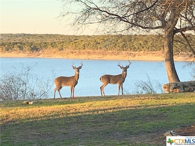 16149 Charlya Dr, Temple, TX 76502 - photo 3