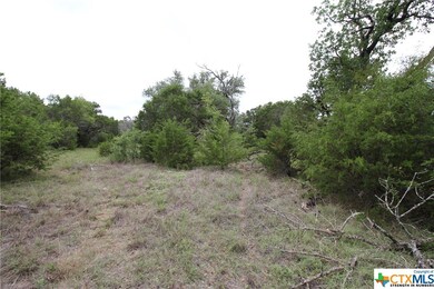 TBD Cowan Rd, Moody, TX 76557 - photo 2