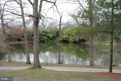 10389 River Rd, Rixeyville, VA 22737 - photo 4