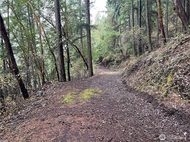 649 Shore Rd, Orcas Island, WA 98245 - photo 3