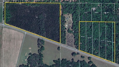 7906 SW County Road 346, Archer, FL 32618 - photo 4