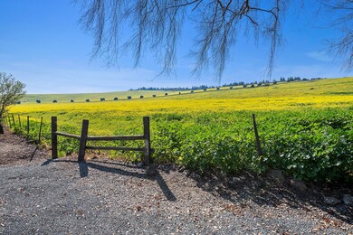 0 Valley View Dr unit 217360, Exeter, CA 93221 - photo 4