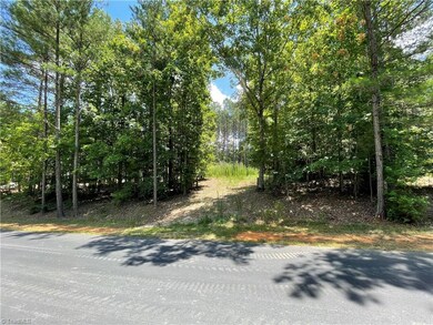 250 and 500 Cove Wood Dr, Denton, NC 27239 - photo 4