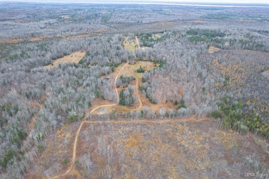 9657 N 5, Gladstone, MI 49837 - photo 6