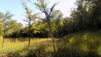Talley Rd3