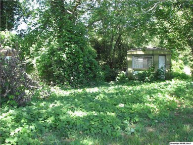 0 Cathedral Caverns Rd, Grant, AL 35747 - photo 3