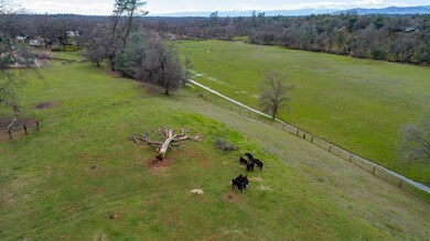 DJI_0017