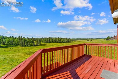 428 Ridge Dr, Divide, CO 80814 - photo 6