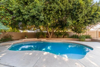 Oasis Pool Setting